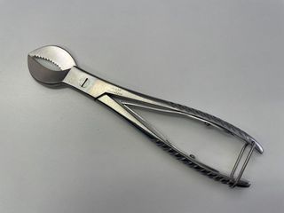 Argus Plaster Shear