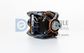 Dryer Motor (50Hz) (Poly Belt Included)