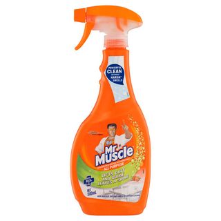 MR MUSCLE ALL PURPOSE DISINFECTANT 500ML