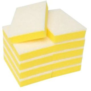 SCOURER SPONGE LARGE 10pk (White Pad)