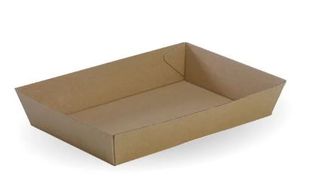 BioPak TRAY #4 BioBoard  x250