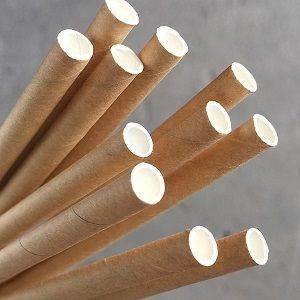 Straws Regular compostable brown paper 6mm (D) 200mm (L) pkt 250