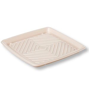 Trays Food Service unhinged compostable natural pulp square 305mm (L) 305mm (W) 27mm (H)