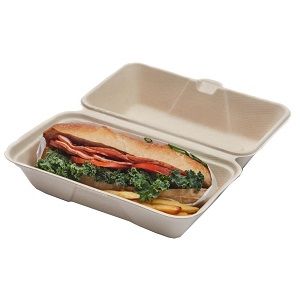 Boxes Large Snack hinged compostable pulp rectangle 289mm (L) 242mm (W) 50mm (H)
