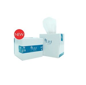 Livi Essentials Facial Tissues 2ply 90 sheets per box x 24