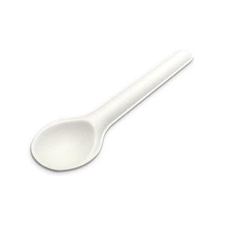 Cutlery Spoon sugarcane (50) ctn 60