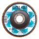 FLAP DISCS (URLISI)