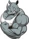 RHINO