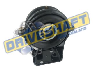 C/BRG B25 HOLDEN ISUZU FASTER TFB 88-