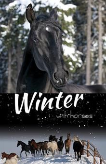 Winter with Horses