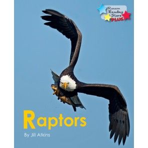 Raptors