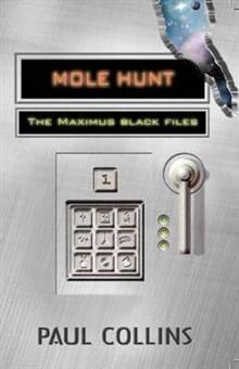 M1 - Mole Hunt