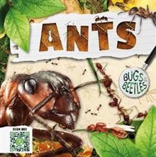 BB - Ants