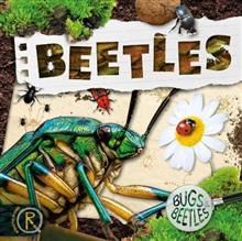 BB - Beetles