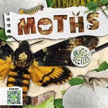 BB - Moths