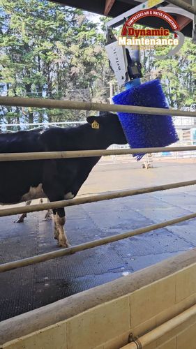 Melasty Galv Rotating Cow Brush