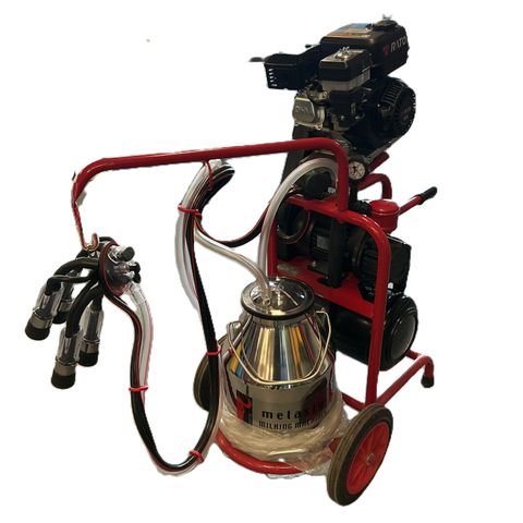 Petrol Melasty Single Milking Machine COW