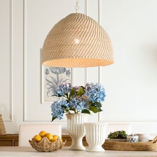 Ceiling Pendants