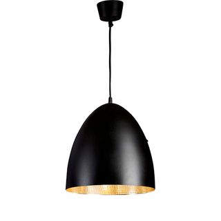 Egg Ceiling Pendant Black and Silver