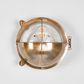 Vienna Outdoor Wall Light in Antique Brass