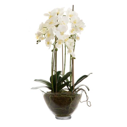Orchid Glass Bowl Large 85cm White