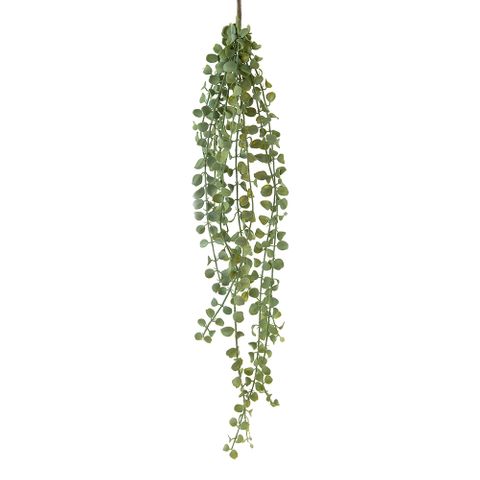 Succulent Hanging Vine 85cm