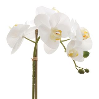 Orchids Phalaenopsis Real Touch with Leaves 53cm White