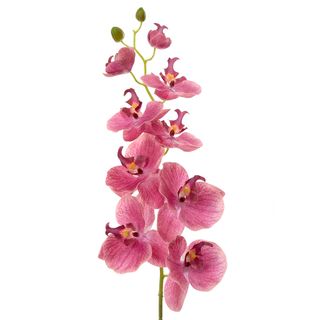 Orchid Phalaenopsis Spray 74cm Pink
