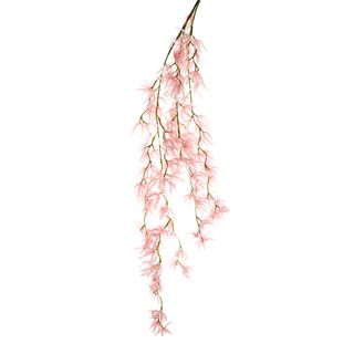 Orchid Spider Hanging 1.1m Pink