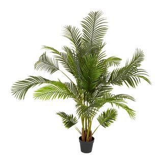 Palm Tree Real Touch 1.7m
