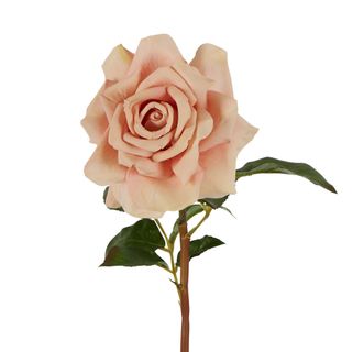Rose True Touch 50cm Blush