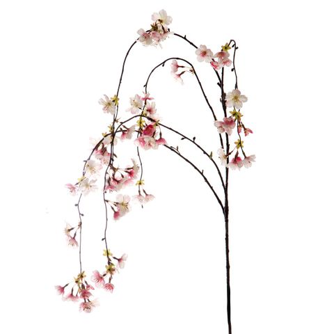 Cherry Blossom Hanging Spray 1.3m Pink