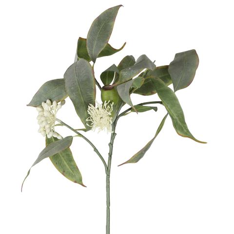 Eucalyptus Flower Spray 70cm