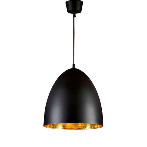 Egg Ceiling Pendant Black and Brass