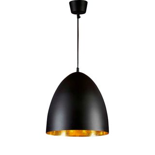 Egg Ceiling Pendant Black and Brass