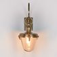 Savoy Outdoor Wall Light with Glass Shade Antique Brass