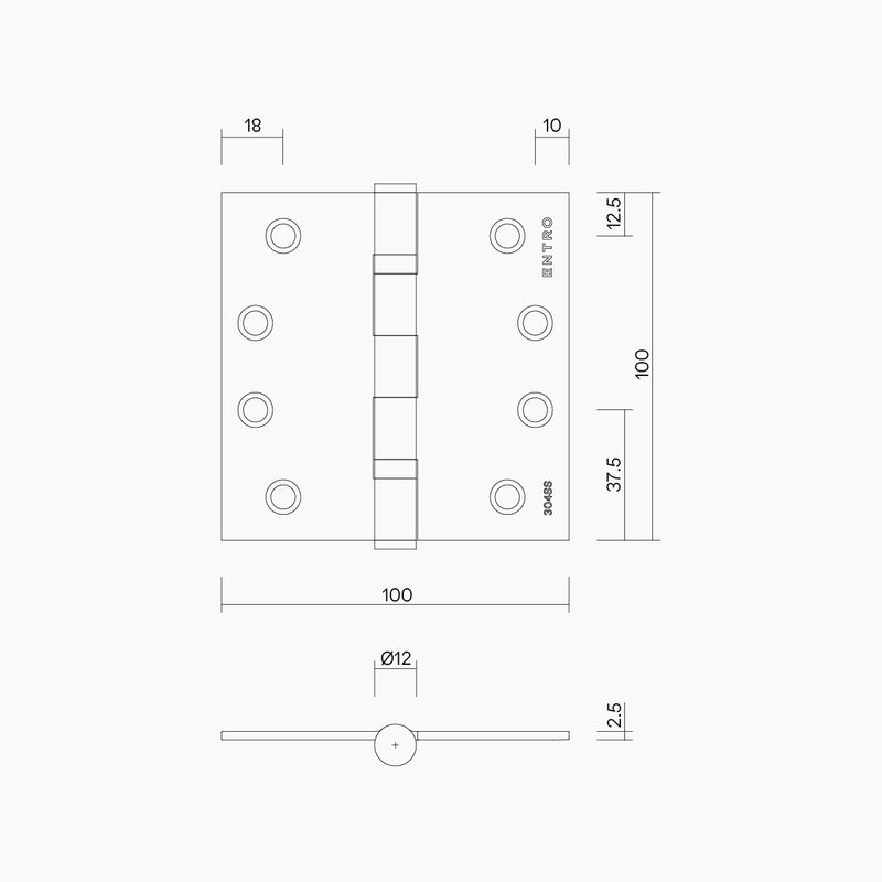 Ball Bearing Fixed Pin Hinge 100x100x2.5mm MBLK (incl CSK/UC Screws)