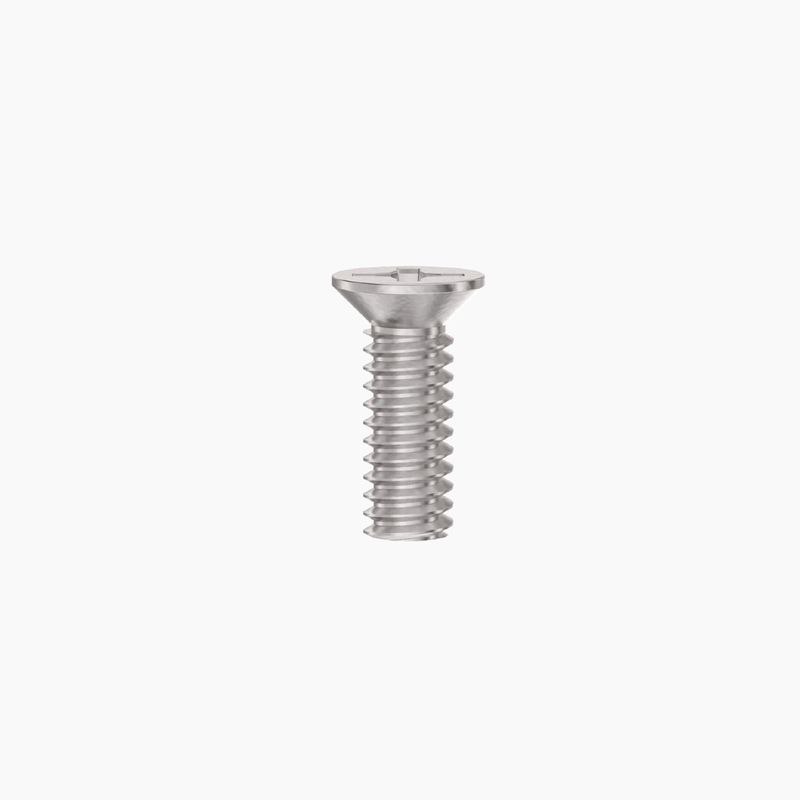 Oval Cylinder Cam Screws