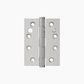 Button Tip Security Pin Hinge 100x75x2.5mm SSS