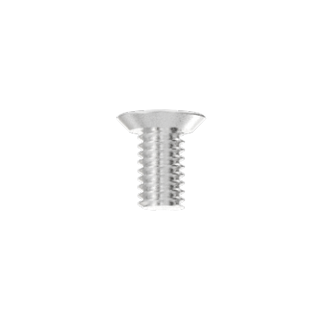 A0100 Faceplate fixing screw SSS