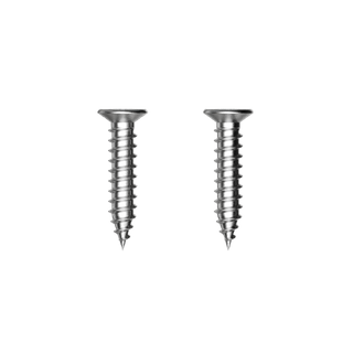 A0100 Latch Strike Timber Fixing Screw SSS