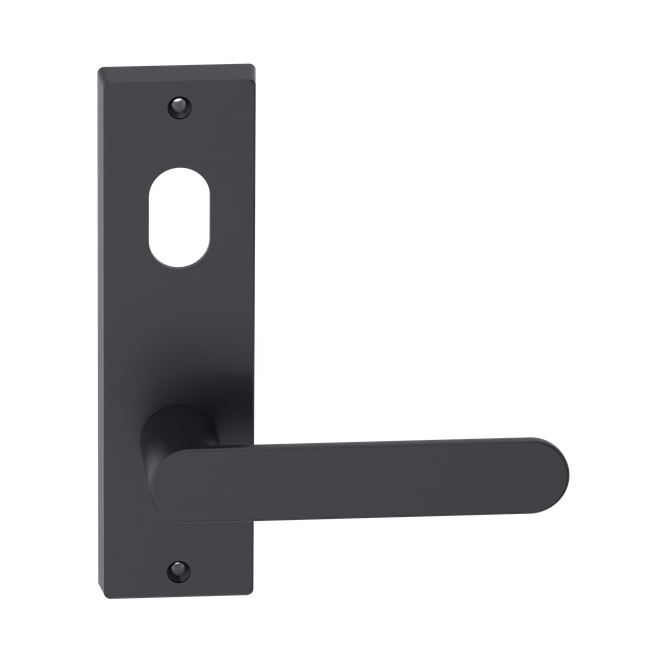 Rectangular Plate Lever #30 Cylinder/Visible BLK 