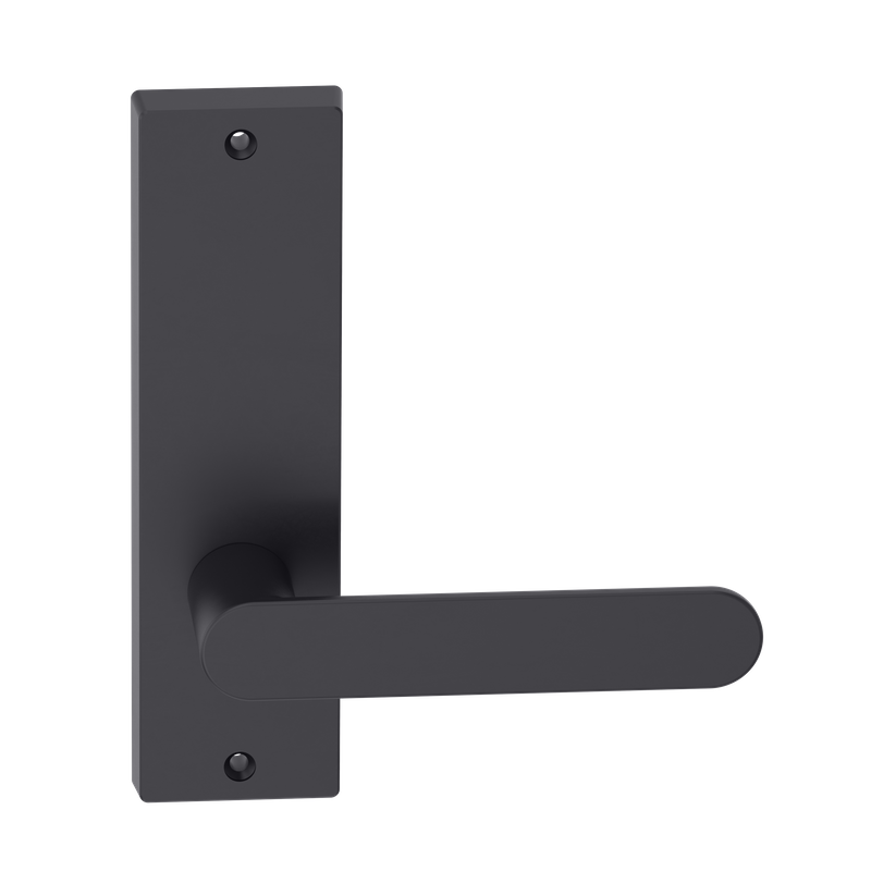 Rectangular Plate Lever #30 Plain/Visible BLK 