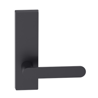 Rectangular Plate Lever #30 Plain/Concealed BLK 