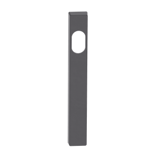 Narrow Blank Plate Cylinder/Concealed BLK 