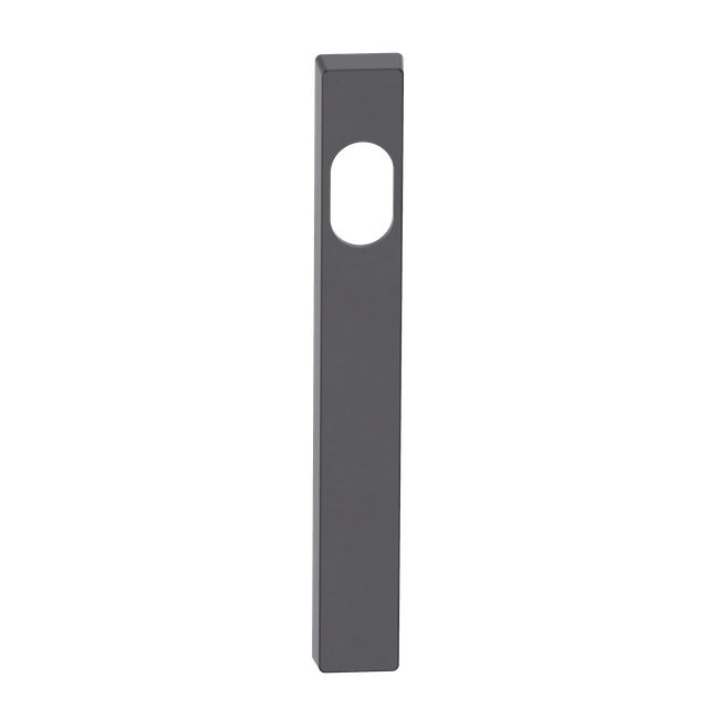 Narrow Blank Plate Cylinder/Concealed BLK 