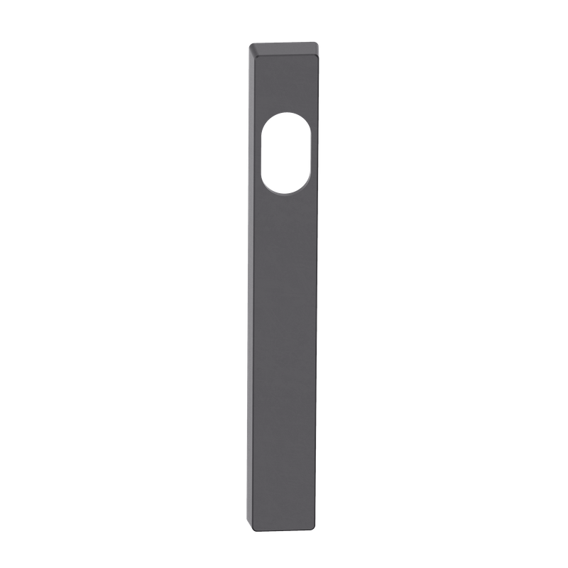 Narrow Blank Plate Cylinder/Concealed BLK 