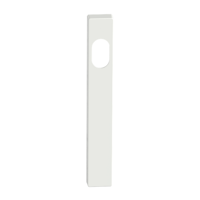 Narrow Blank Plate Cylinder/Concealed WHT 