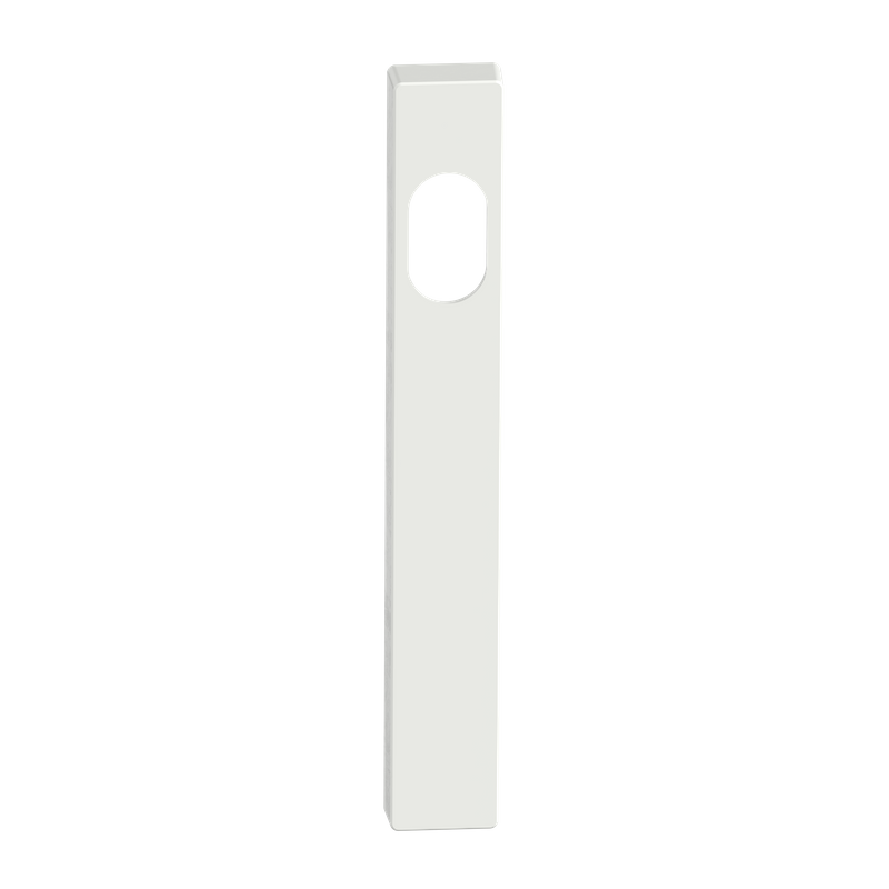 Narrow Blank Plate Cylinder/Concealed WHT 