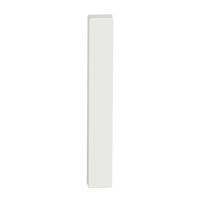 Narrow Blank Plate Plain/Concealed WHT